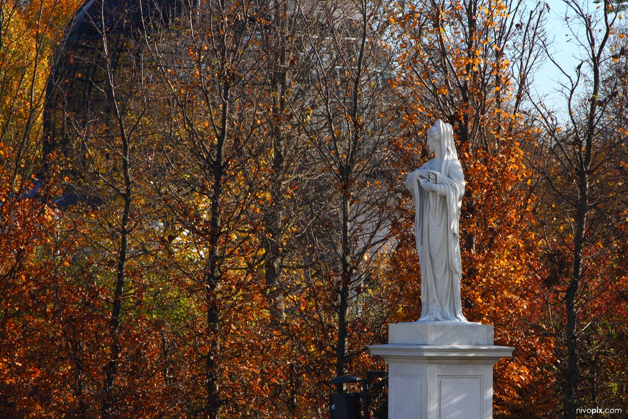 Schönbrunn Palace garden in autumn