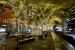 Christmas lights in Zuccotti Park