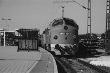 M61 019 at Budapest Kelenföld