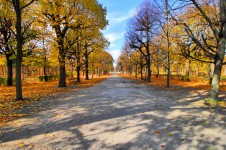 Schönbrunn Palace garden in autumn