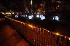 Christmas lights in Vienna, Rathauspark