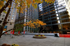 Chase Manhattan Bank Plaza