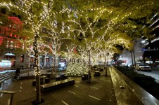 Christmas lights in Zuccotti Park